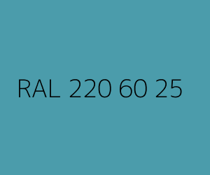 Color RAL 220 60 25 