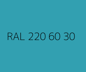 Color RAL 220 60 30 