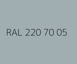 Color RAL 220 70 05 