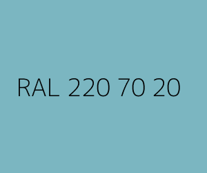 Color RAL 220 70 20 