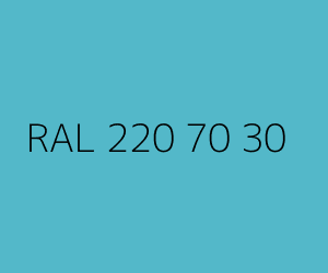 Color RAL 220 70 30 