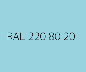 Color RAL 220 80 20 