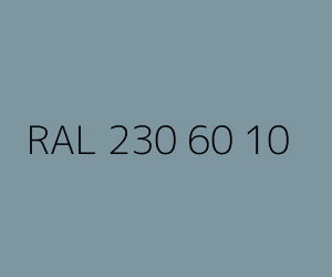 Color RAL 230 60 10 