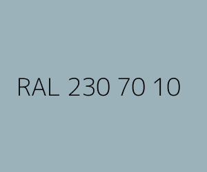 Color RAL 230 70 10 