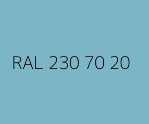 Color RAL 230 70 20 