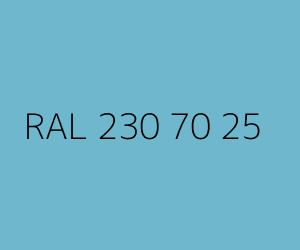 Color RAL 230 70 25 