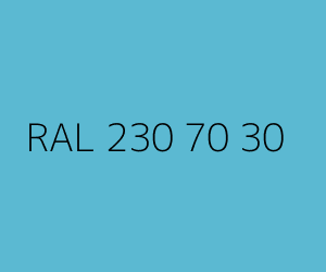 Color RAL 230 70 30 
