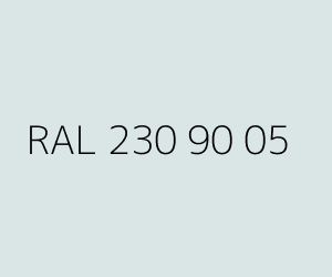 Color RAL 230 90 05 