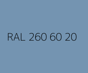 Color RAL 260 60 20 