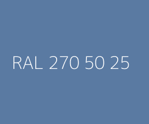 Color RAL 270 50 25 