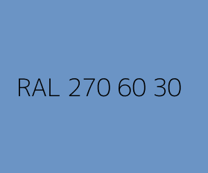 Color RAL 270 60 30 