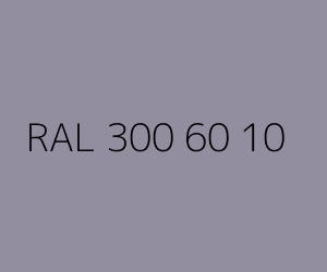 Color RAL 300 60 10 