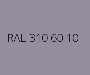 Color RAL 310 60 10 