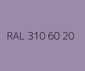 Color RAL 310 60 20 