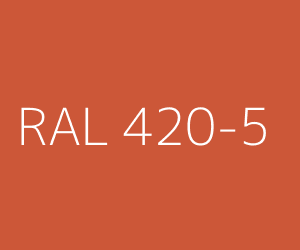 Color RAL 420-5 