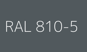 Color RAL 810-5