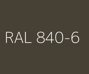 Color RAL 840-6 